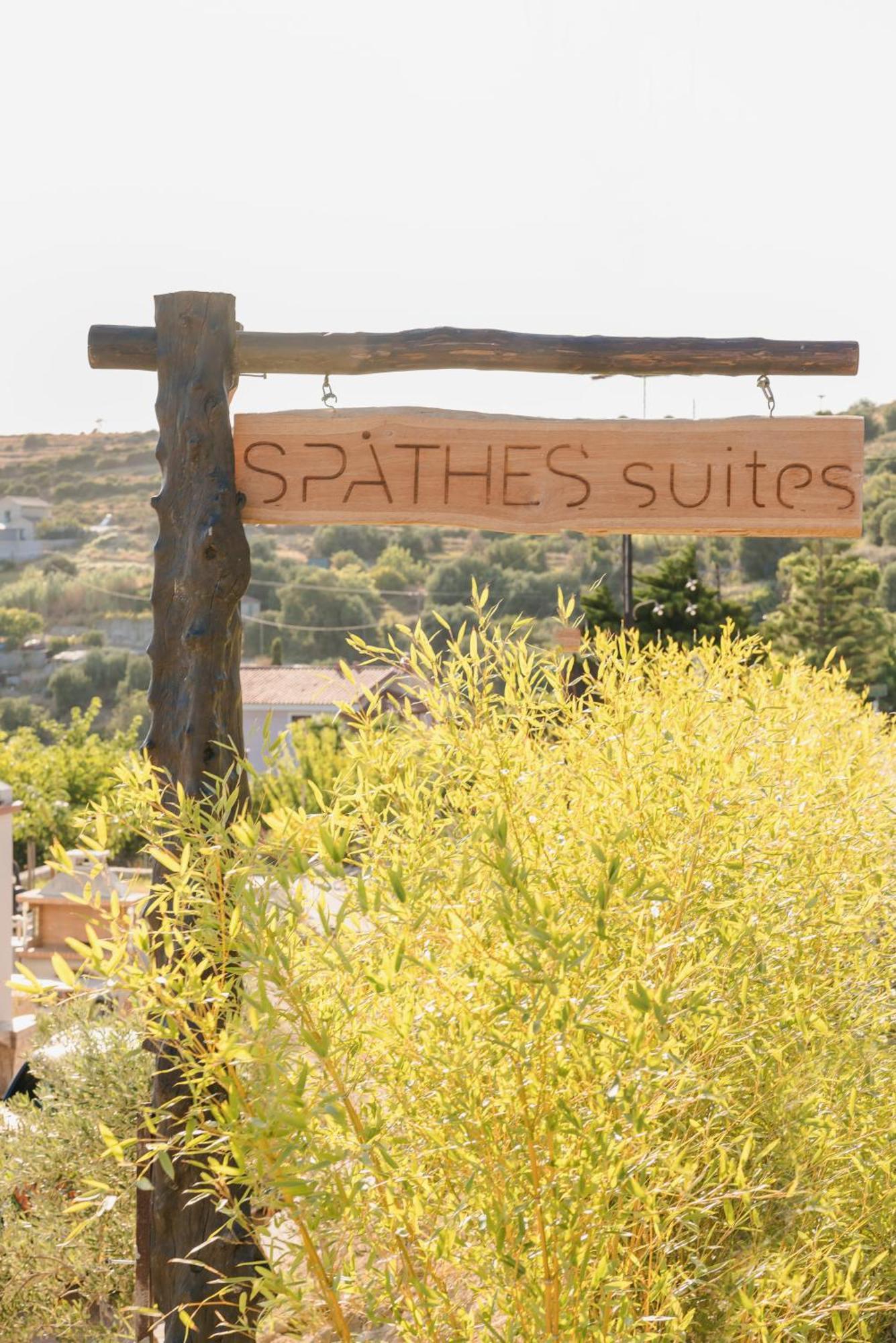 Spathes Suites Kefalonia - Luxury Suites Ratzaklion ภายนอก รูปภาพ